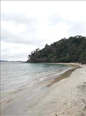 Bay of Islands: by domi_info, Views[1150]