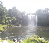 Rainbow-Falls in Kerikeri: by domi_info, Views[1328]