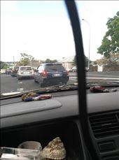 Auf dem Weg nach Dargaville haben wir Obi Wan getroffen!: by domi_info, Views[275]