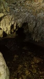 by domi_info, Views[511]