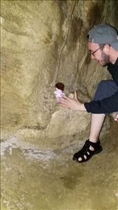 Die Omas kletterten sogar selbstständig herum.: by domi_info, Views[419]