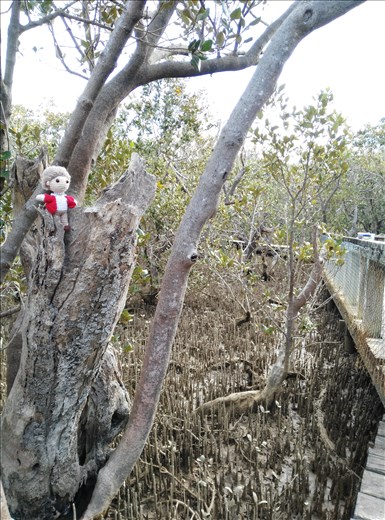 Oma Hannelore genießt den Weg durch den Sumpf
