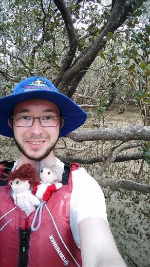 Wir waren Kanufahren in Paihia! Landeten im Sumpf...