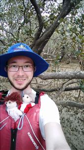 Wir waren Kanufahren in Paihia! Landeten im Sumpf...: by domi_info, Views[365]