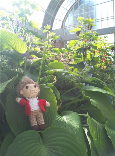 Wer macht denn da das Blumenahaus unsicher?