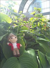 Wer macht denn da das Blumenahaus unsicher?: by domi_info, Views[182]