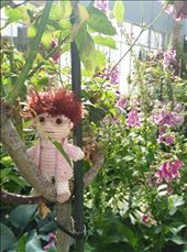 Wer macht denn da das Blumenahaus unsicher? 2: by domi_info, Views[453]