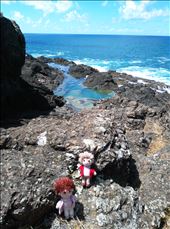 Entspannen am Mermaid Pool: by domi_info, Views[502]