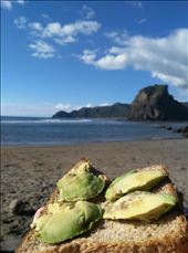 Piha Beach, nördlich von Auckland.: by domi_info, Views[921]