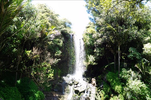 Hätte ihn fast übersehen, weil er in einer Schlcuht versteckt ist.