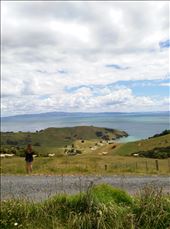 Und der Aufbruch zur Coromandel.: by domi_info, Views[259]