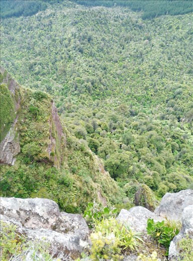 Geschafft! Wir sind oben auf Castle Rock!