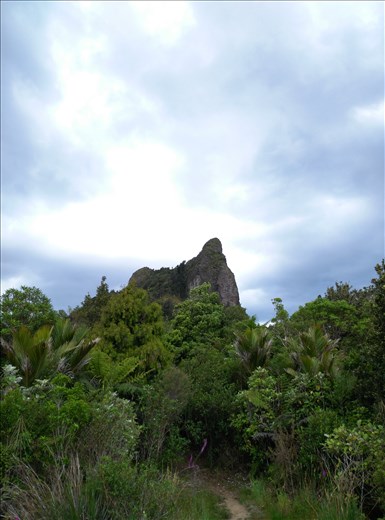 Wir bestiegen den Castle Rock! Einen ganz schön hohen Felsen mit gutem Ausblick!