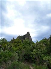 Wir bestiegen den Castle Rock! Einen ganz schön hohen Felsen mit gutem Ausblick!: by domi_info, Views[304]
