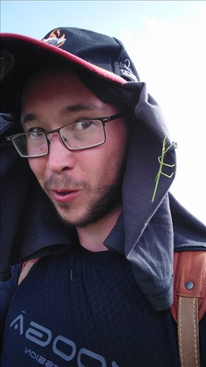 Neue Freunde gefunden - Die Stabheuschrecke 2