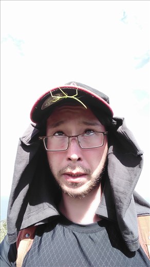 Mein neuer treuer Freund. Ich verwieß ihn einige Minuten später auf ein Blatt.