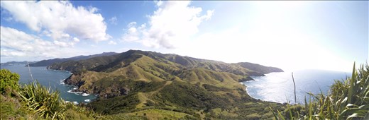 Wir fuhren weiter nach Fletchers Bay, Spitze der Coromandel! 