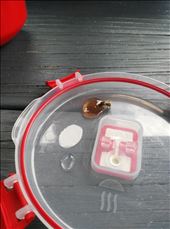 Erstmal Bienen aufpäppeln! #future: by domi_info, Views[238]