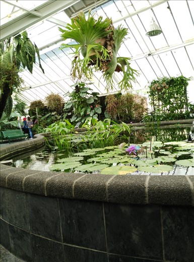 Eines der zahlreichen Blumenhäuser, Traumhaft