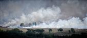 Fire birds circle as the bushfire rages: by dominichall, Views[296]