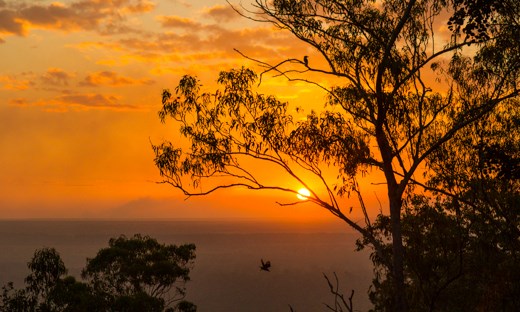Kookaburra Sunset