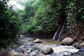 in a deeper jungle of West Java: by donaldsuhartanto, Views[614]
