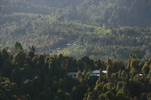 A morning view in Bali mountain