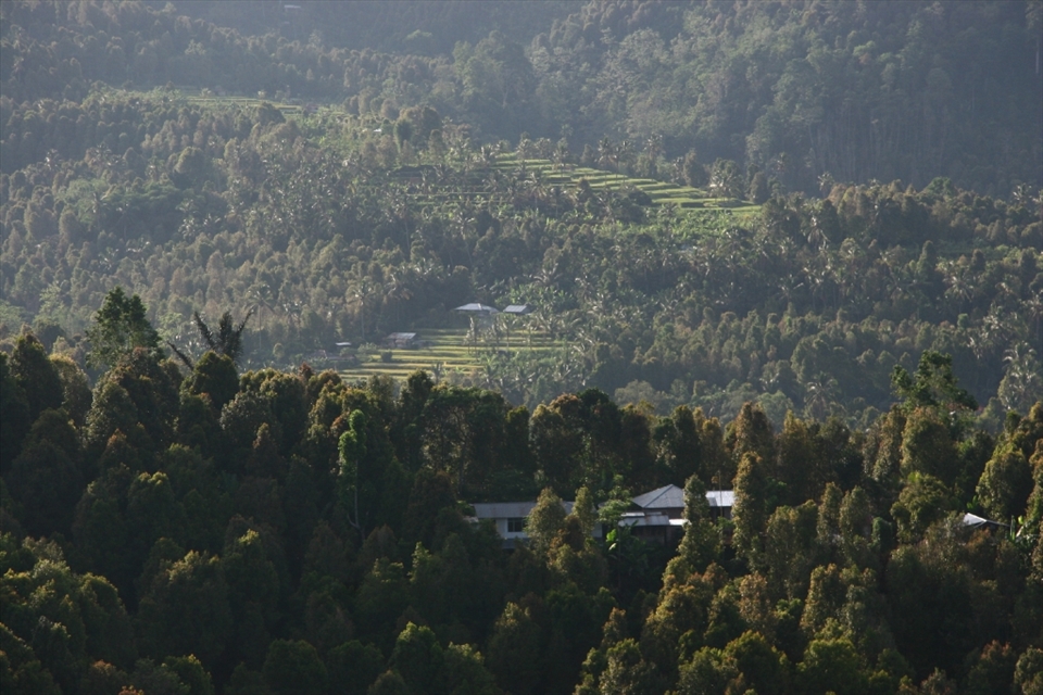 A morning view in Bali mountain