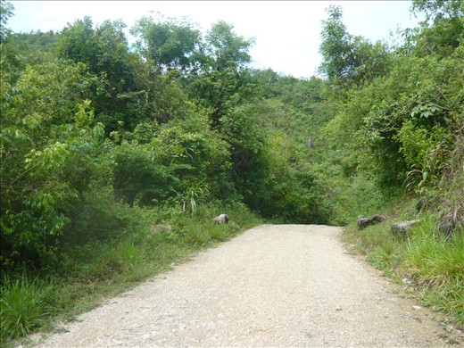 Dirt track to Semuc Champey
