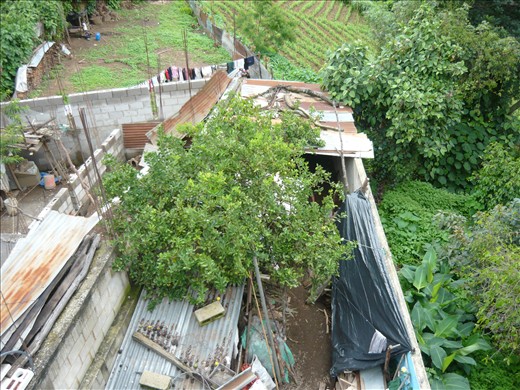 The view on the back of the after-school center with the shed full of wood.