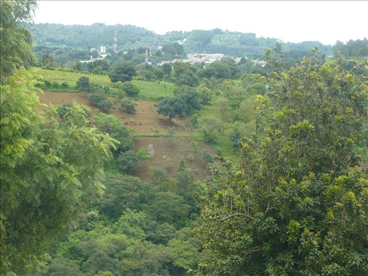 Surrounding views again.