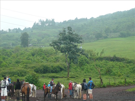 All the horses were meant for the tourists and boy did they defecate all over the place.