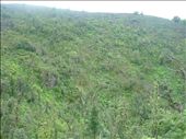 Jungle at the bottom of a neighbouring crater.: by donkosarev, Views[282]