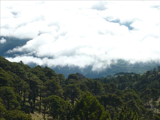 Breaching the cloud cover from above this time.