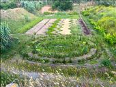 circle garden apulia: by donna_jeff, Views[256]