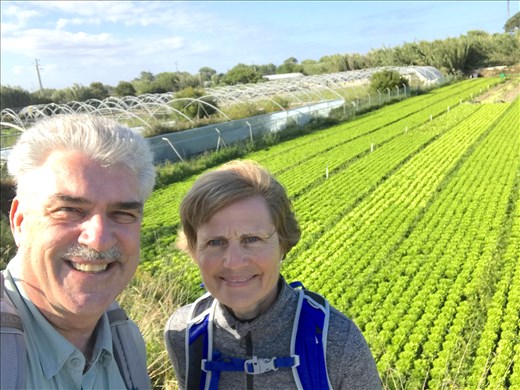 crops near Apulia