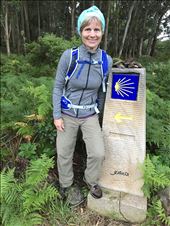 DMS Camino Sign: by donna_jeff, Views[225]