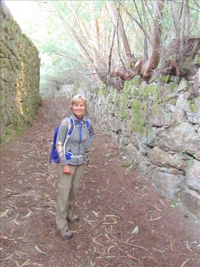 Donna Mountain trail N Baigo