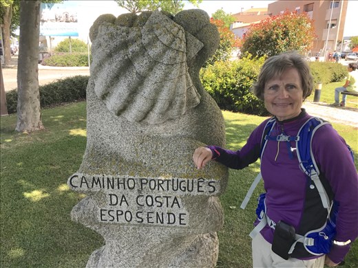 dms seashell esposende