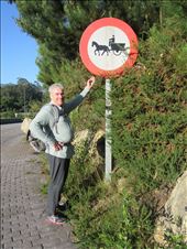 Jeff Horse_Buggy Sign: by donna_jeff, Views[206]