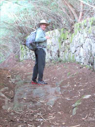 Jeff Mountain trail N Baigo