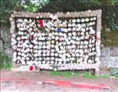 Memorial Shells: by donna_jeff, Views[207]