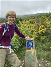 by donna_jeff, Views[183]