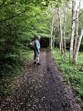 Roncevelles wooded path: by donna_jeff, Views[217]