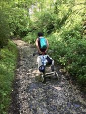 Erro woman w cart: by donna_jeff, Views[192]