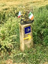 Boot on Camino sign: by donna_jeff, Views[140]