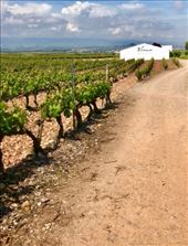 Viavanco winery near Aleson: by donna_jeff, Views[163]