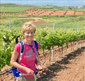 vineyard DMS: by donna_jeff, Views[180]