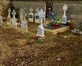 Graves Viloria de Rioja: by donna_jeff, Views[148]