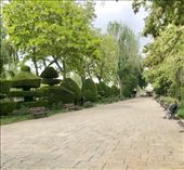 Burgos shrubs: by donna_jeff, Views[126]